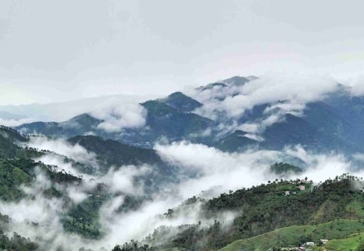 CHAIL.jpg